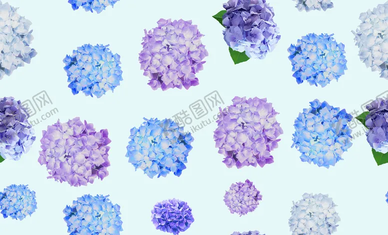 编号：45231709140558049603【酷图网】源文件下载-绣球花