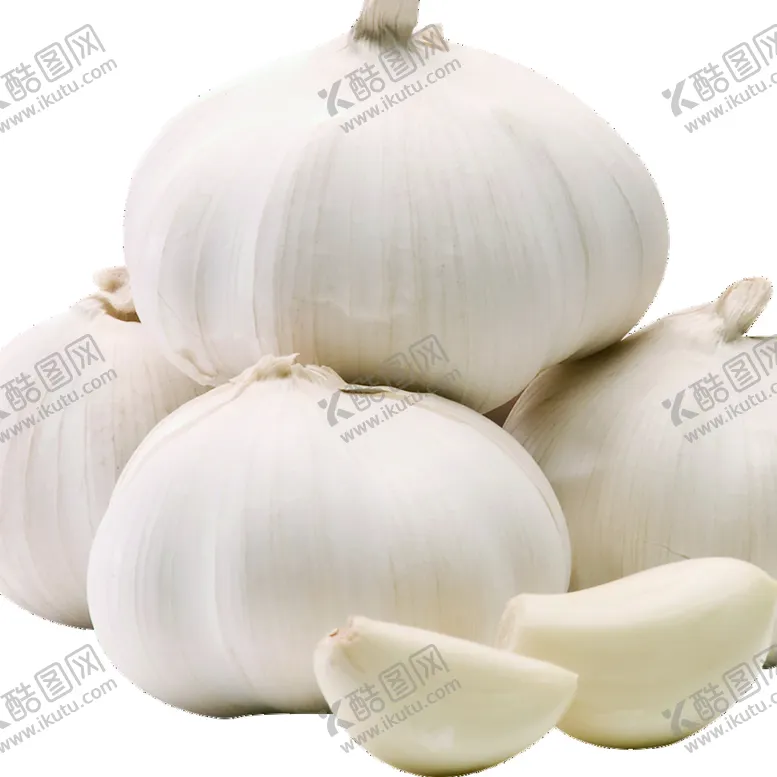 编号：81059209211237028354【酷图网】源文件下载-大蒜籽 PSD抠图 CMYK