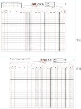 明细分类帐乙式303