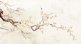 花鸟