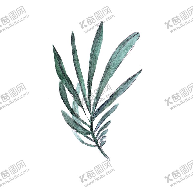 编号：72546007051126292107【酷图网】源文件下载-绿色装饰