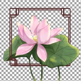 手绘荷花