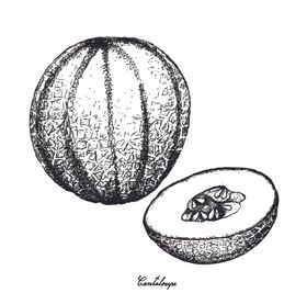 素描水果