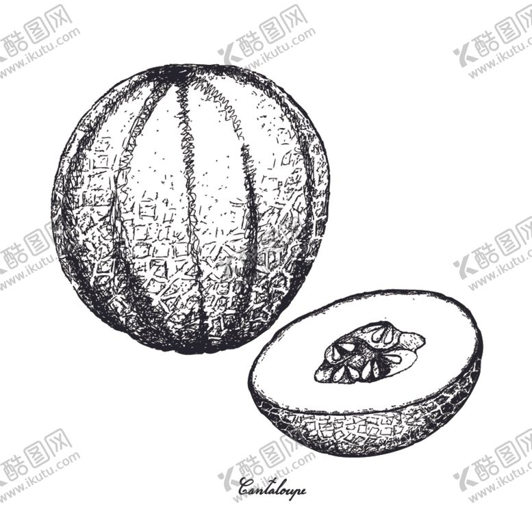 编号：80668806182152431320【酷图网】源文件下载-素描水果