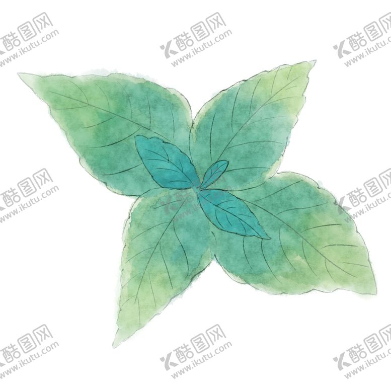 编号：32131705172250367638【酷图网】源文件下载-薄荷植物元素