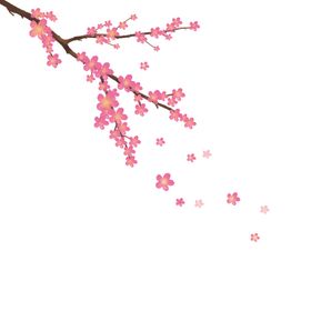 梅花桃花PNG