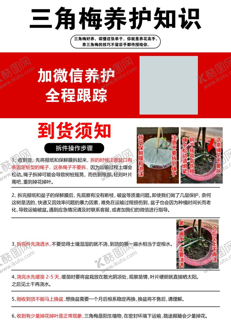 编号：96651109231605177892【酷图网】源文件下载-三角梅养护知识海报