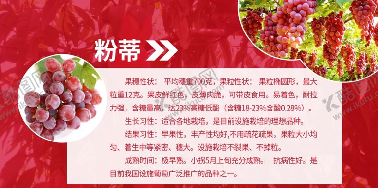 编号：40429007090643361083【酷图网】源文件下载-水果宣传展板