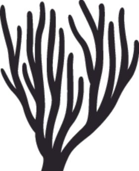 海洋生物系列珊瑚矢量图动