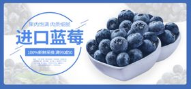 进口蓝莓