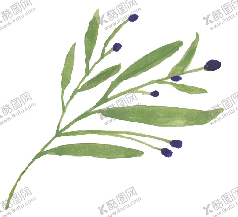 编号：32278401300823305989【酷图网】源文件下载-水彩花卉