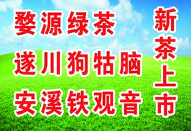 新茶上市