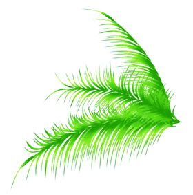 绿色装饰修热带树叶免扣