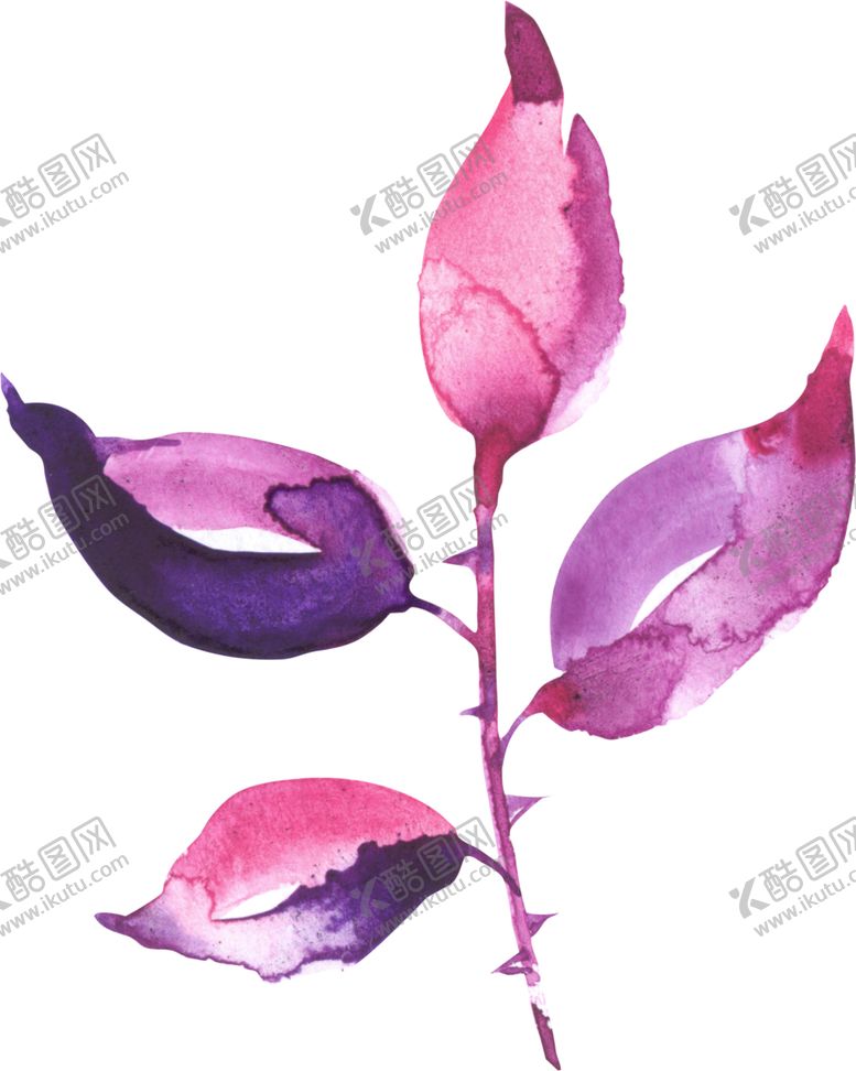 编号：69639210010730538853【酷图网】源文件下载-水彩手绘花卉花朵植物
