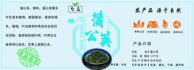 花茶标签蒲公英
