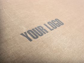 logo样机图片