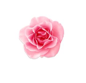 玫瑰花装饰素材
