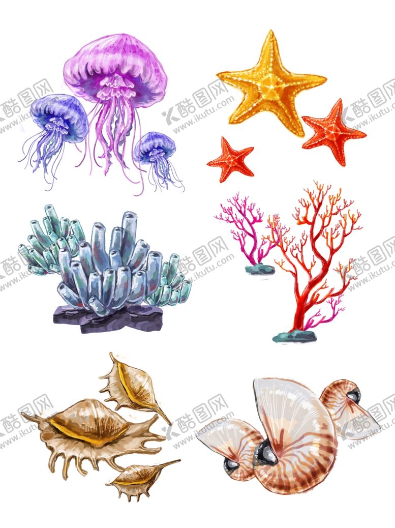 编号：47728803131450327537【酷图网】源文件下载-无脊椎生物珊瑚水母海星