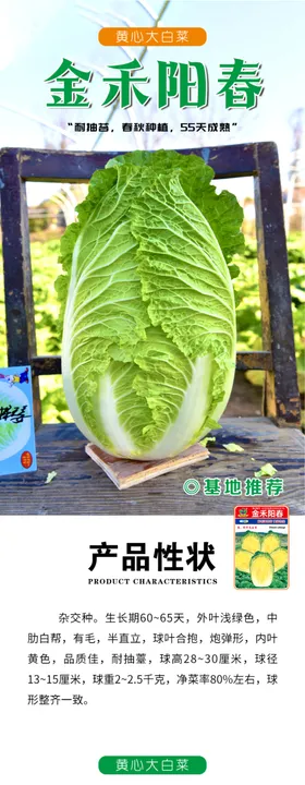 蔬菜详情页