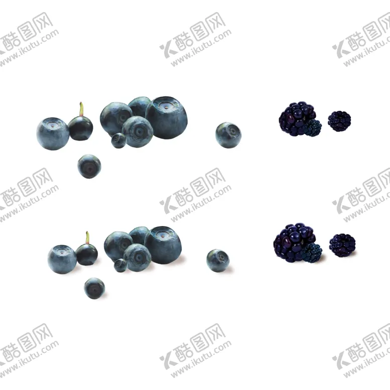 编号：23516706280958559307【酷图网】源文件下载-蓝莓桑葚