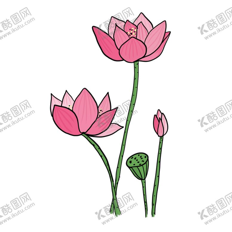 编号：45217607021812331222【酷图网】源文件下载-荷花元素