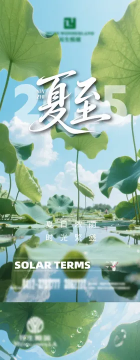 夏至小暑海报