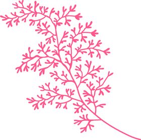 清新森系花枝