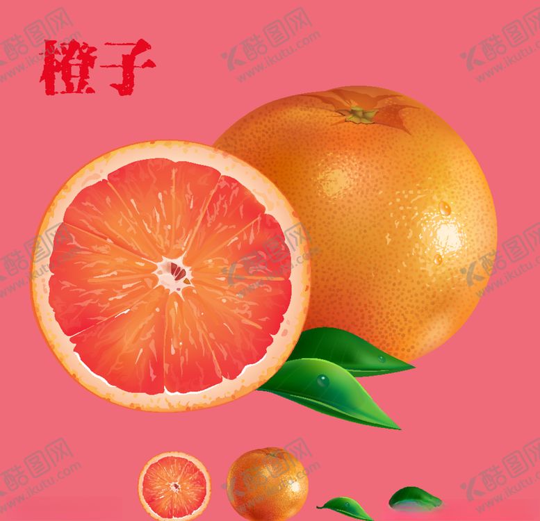 编号：77251910200550102402【酷图网】源文件下载-橙子