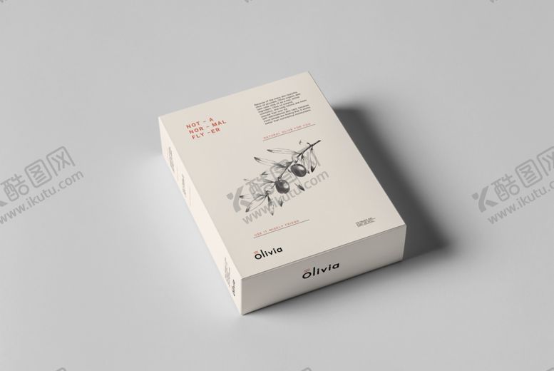 编号：17156109231600477077【酷图网】源文件下载-香水香薰沐浴露包装效果样机