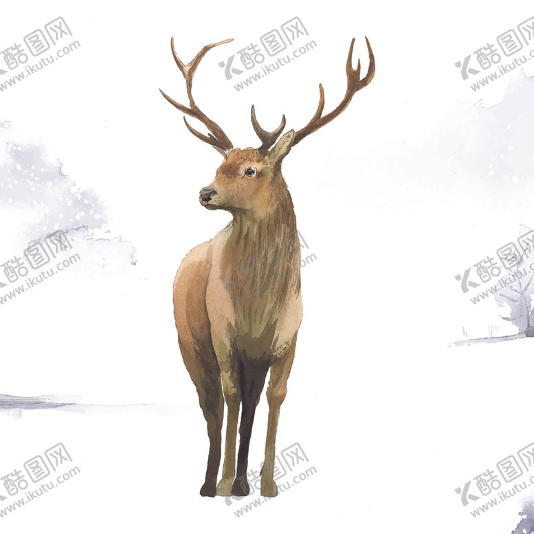 编号：53968605011559068859【酷图网】源文件下载-野生动物插图