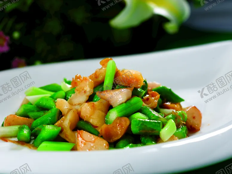 编号：16257409220016571045【酷图网】源文件下载-豆角炒肉