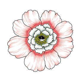 手绘花卉