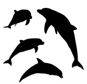 海豚剪影