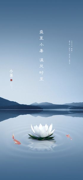 小暑节气日海报