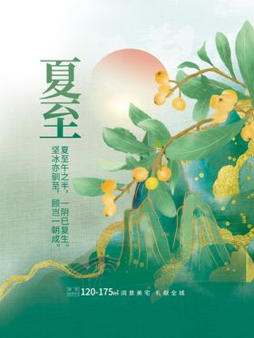 夏至二十四节气海报