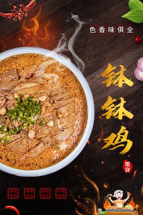 钵钵鸡海报