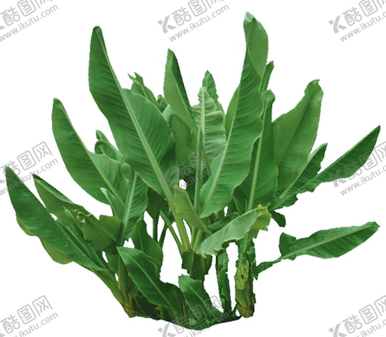 编号：73629209182320302913【酷图网】源文件下载-绿色相框