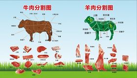 牛羊肉分割图