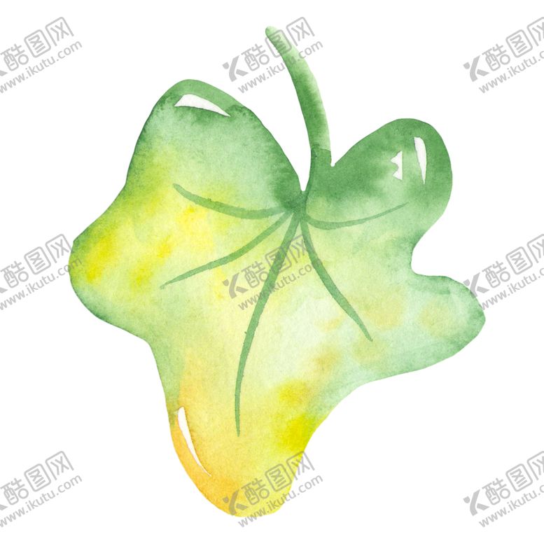 编号：57039307132312132038【酷图网】源文件下载-绿色叶子