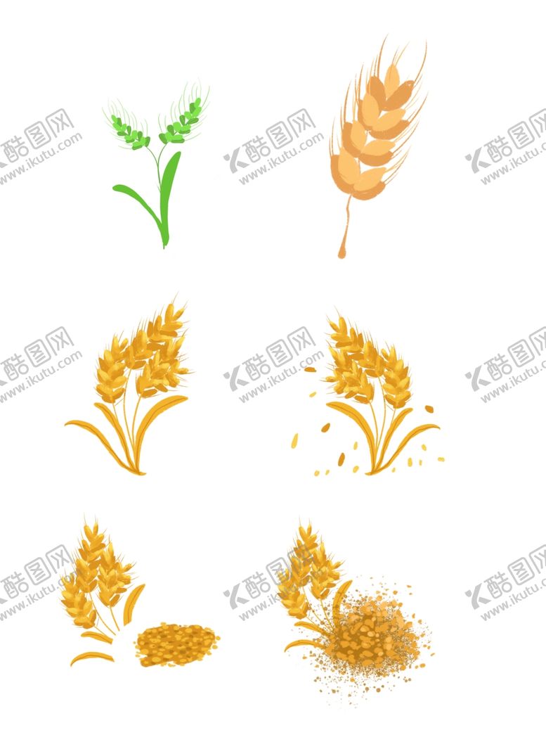 编号：14477710131045216990【酷图网】源文件下载-粮食素材