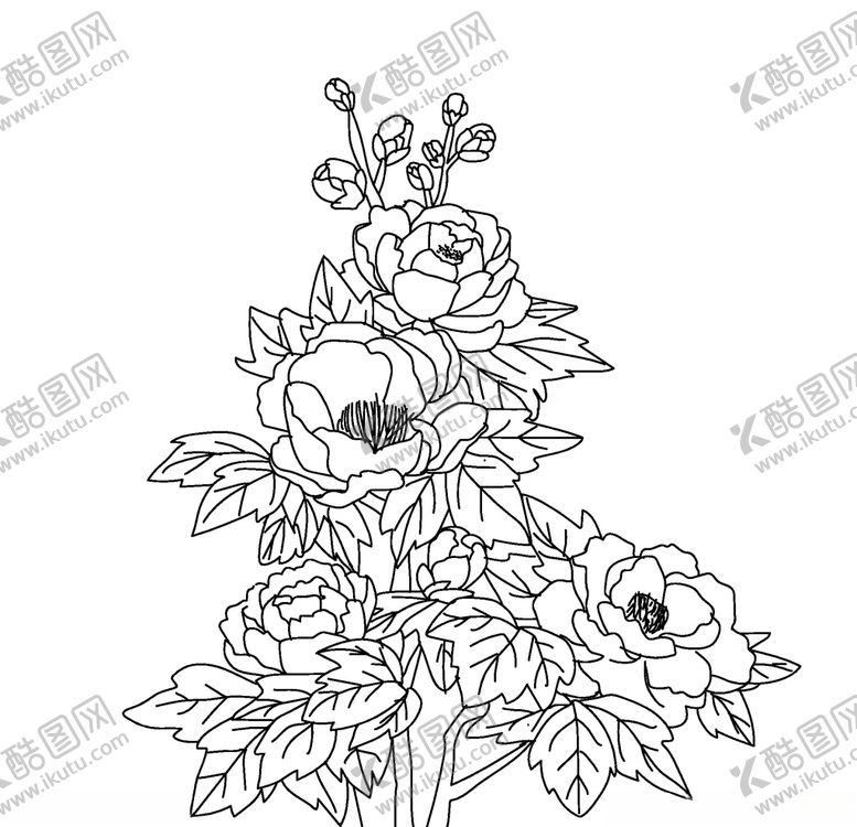 编号：26292706182059247855【酷图网】源文件下载-矢量线稿牡丹