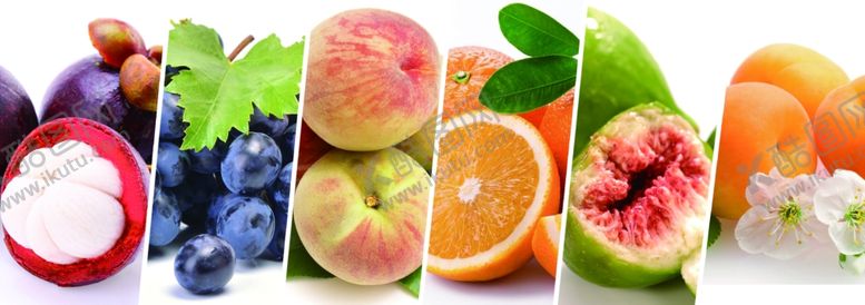 编号：42224209160534455000【酷图网】源文件下载-水果