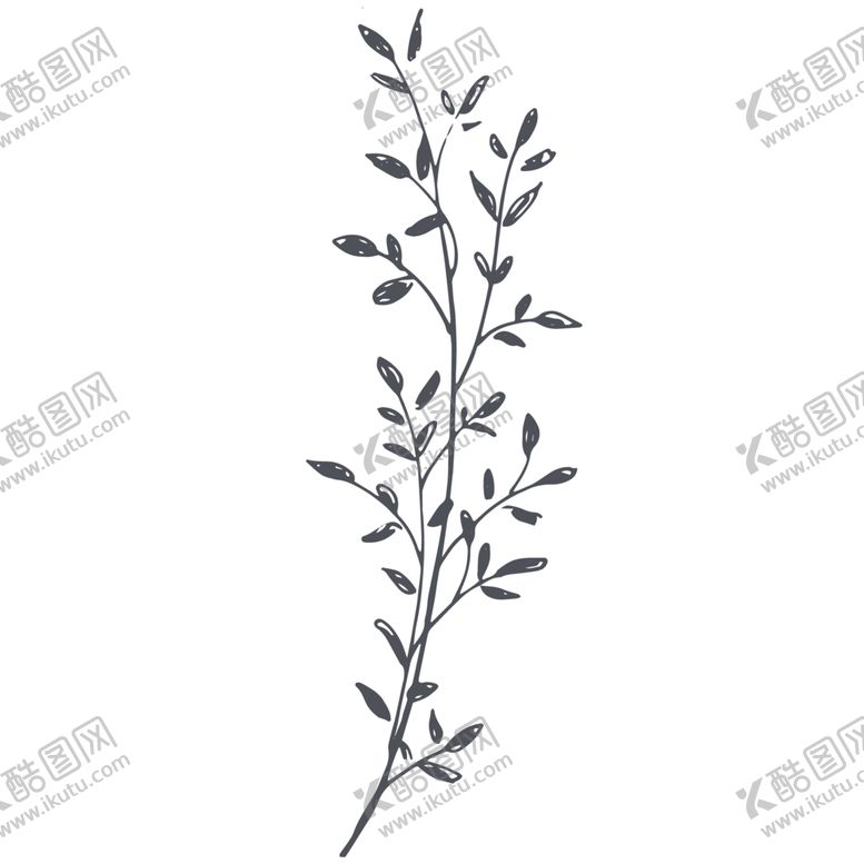 编号：51166606300935508148【酷图网】源文件下载-手绘植物