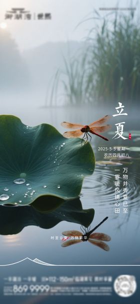 二十四节气立夏系列海报