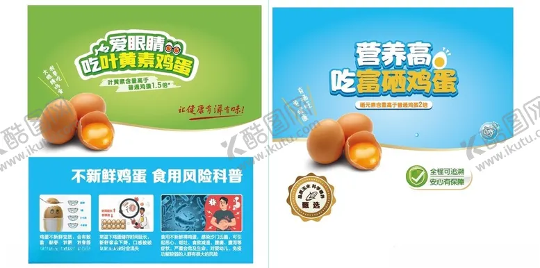 编号：47168506292236341027【酷图网】源文件下载-新鲜鸡蛋