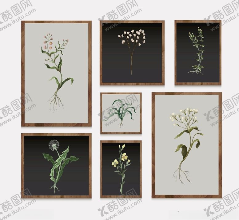 编号：44474605242346437054【酷图网】源文件下载-植物装饰挂画