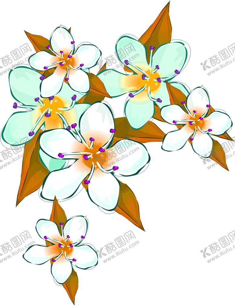 编号：54728709251152588275【酷图网】源文件下载-鲜花素材