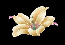 电脑花卉