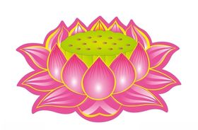 莲花上贰