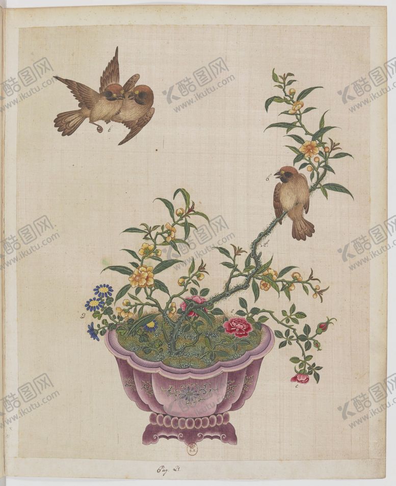 编号：77496404091614566145【酷图网】源文件下载-盆景花鸟